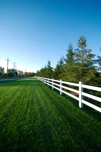 Horse Property