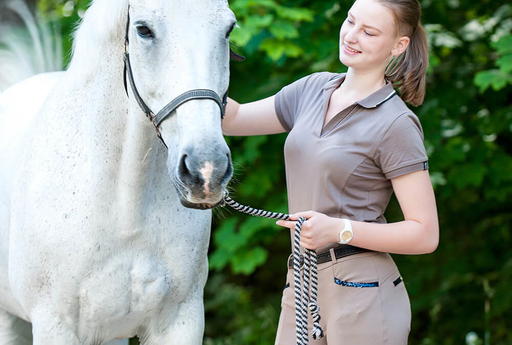 Equine Facilitated Learning – Careers in the Horse Industry