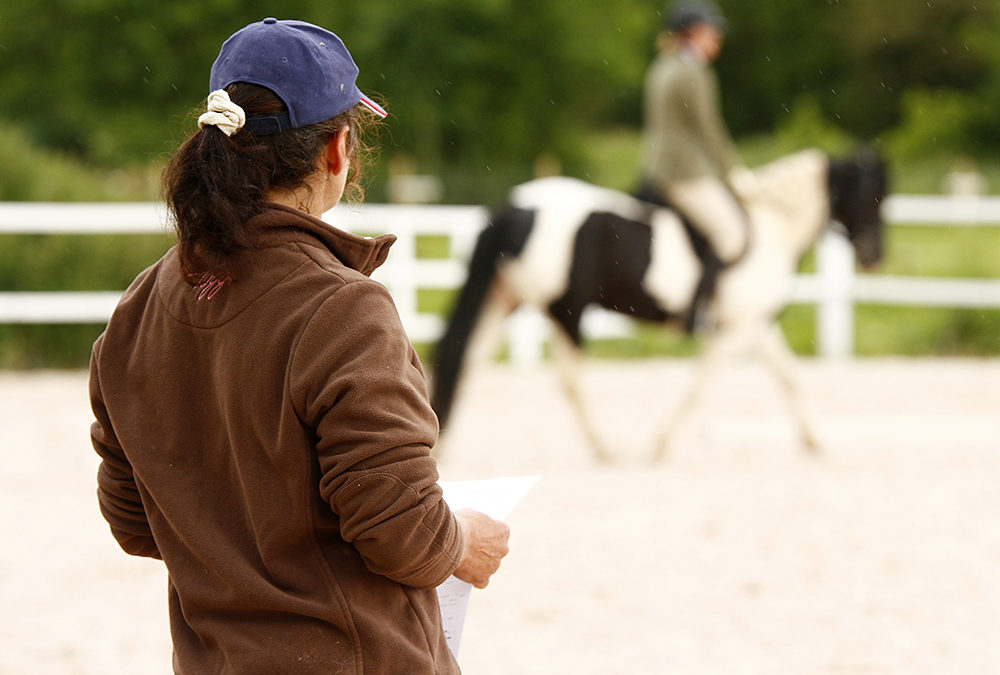 Sharpen Your Focus – Three Crucial Elements For Equestrian Riders and Instructors