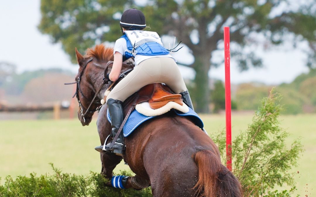 Three Things to Remember Before you Start Teaching a Rider to Jump