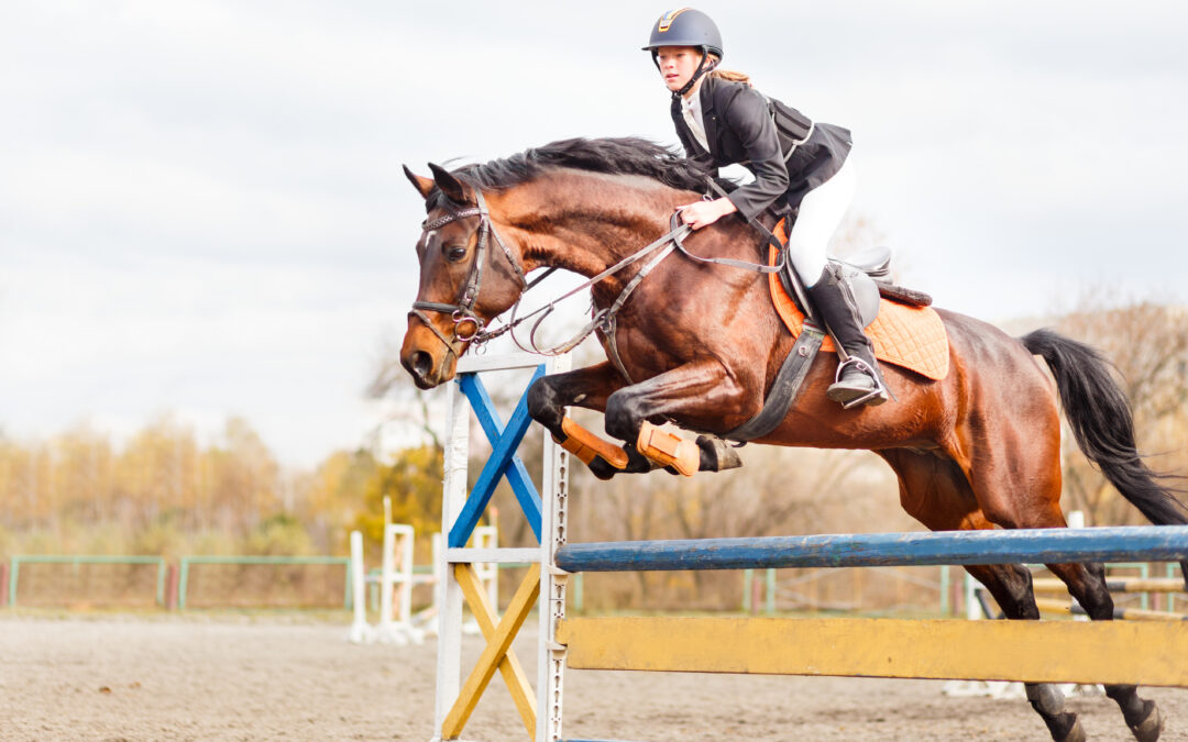 The Five Phases of Jumping – Teaching and Improving Your Riding