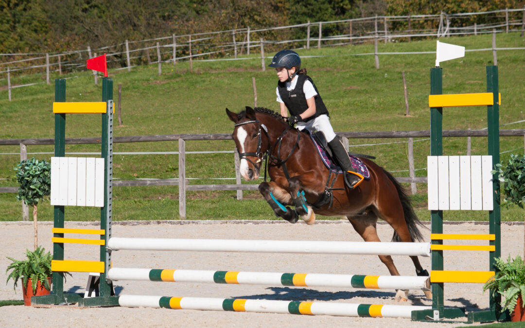 Jumping Distances for Beginner Riders
