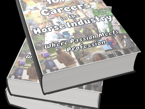 101+ CAREERS COVER BOOK v6