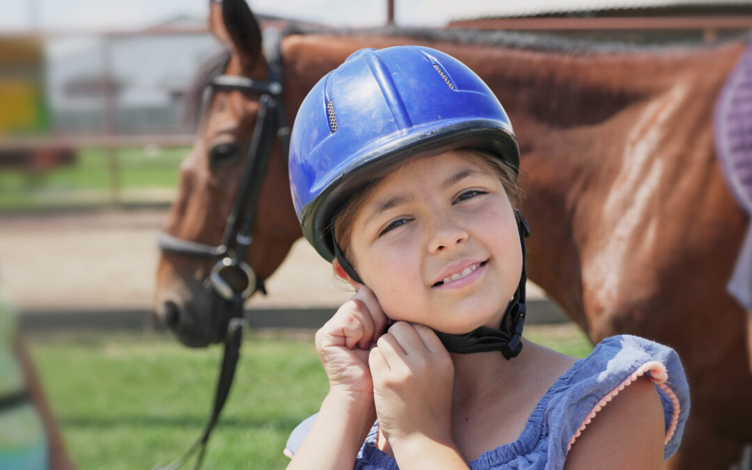 Teach Beginner Horse Riding Lessons