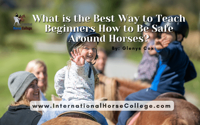 What is the Best Way to Teach Beginners How to Be Safe Around Horses?