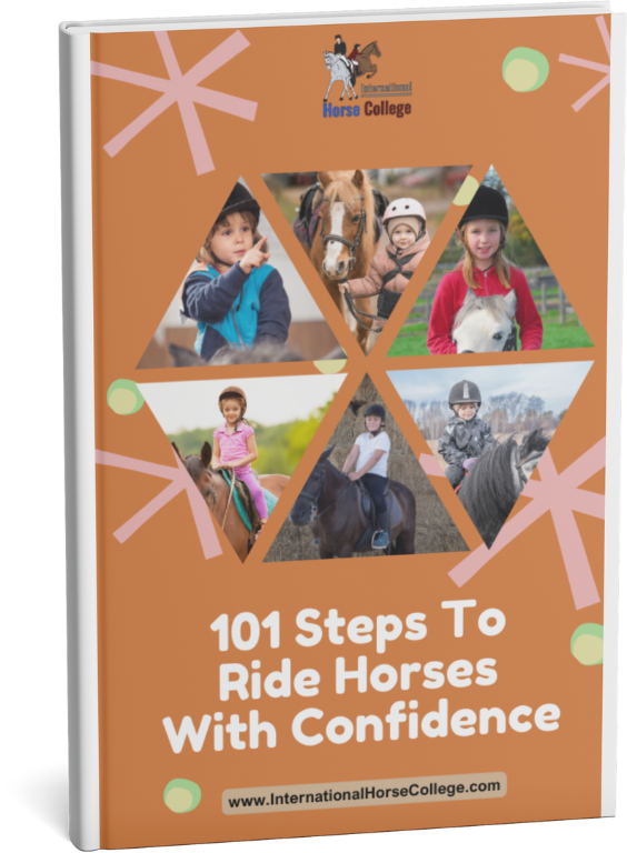 101 Lessons to Build Confidence download