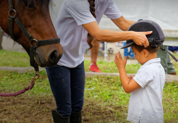 Equestrian Horseriding Instructor