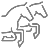 Equine career pathway