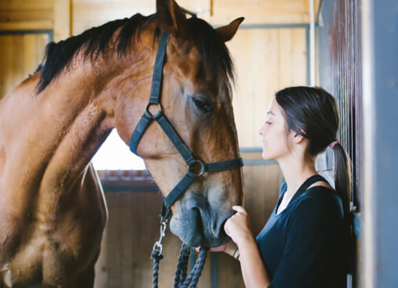 Horse Handling Instructor