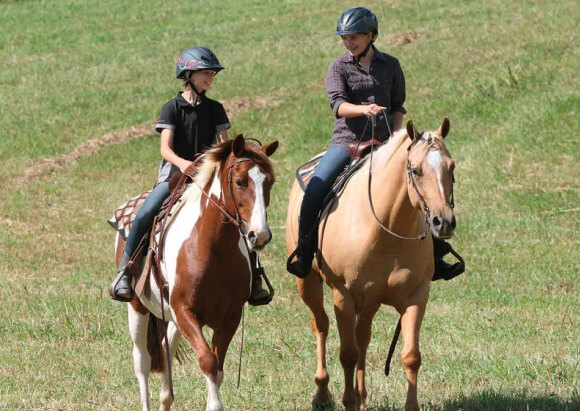 Professional Trail Riding