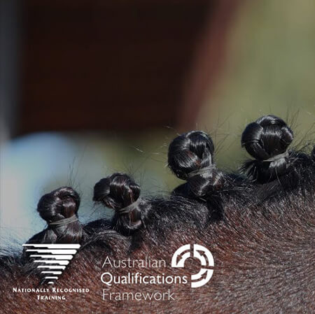 Equestrian Coaching Diploma