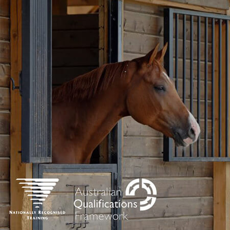 Equestrian Coaching Diploma
