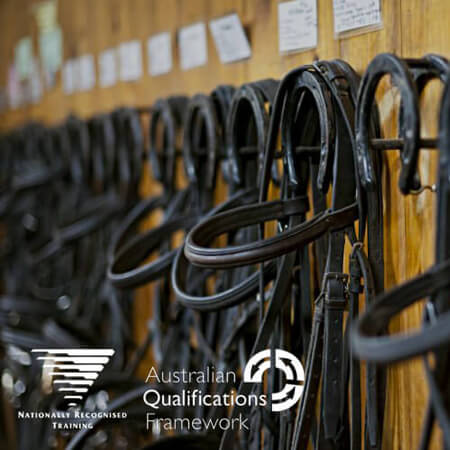 Equine Business Manager