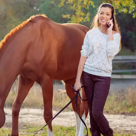 Own Horse Business