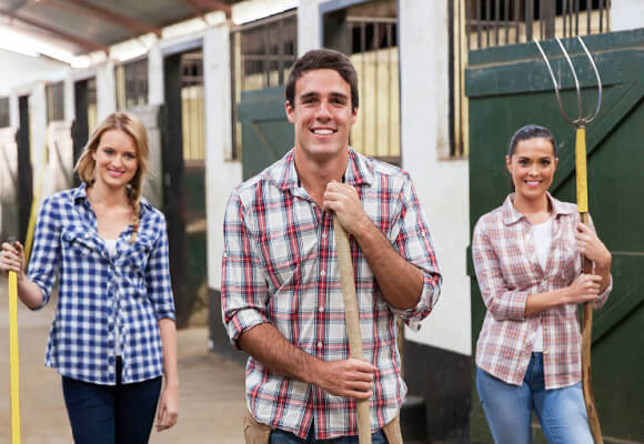 Portrait Equine Business Manager