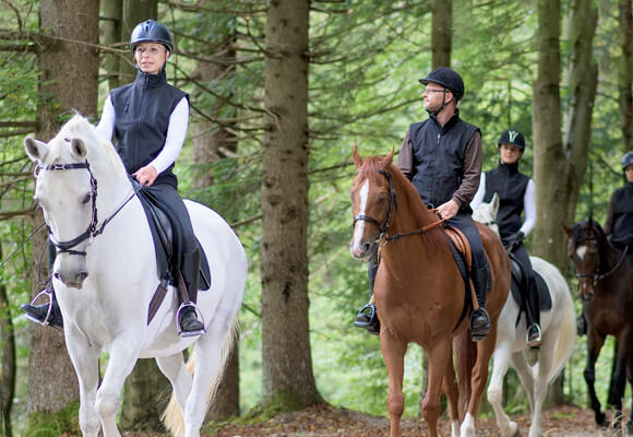 Turn Your Passion into a Business Teaching Horse Riding and Care