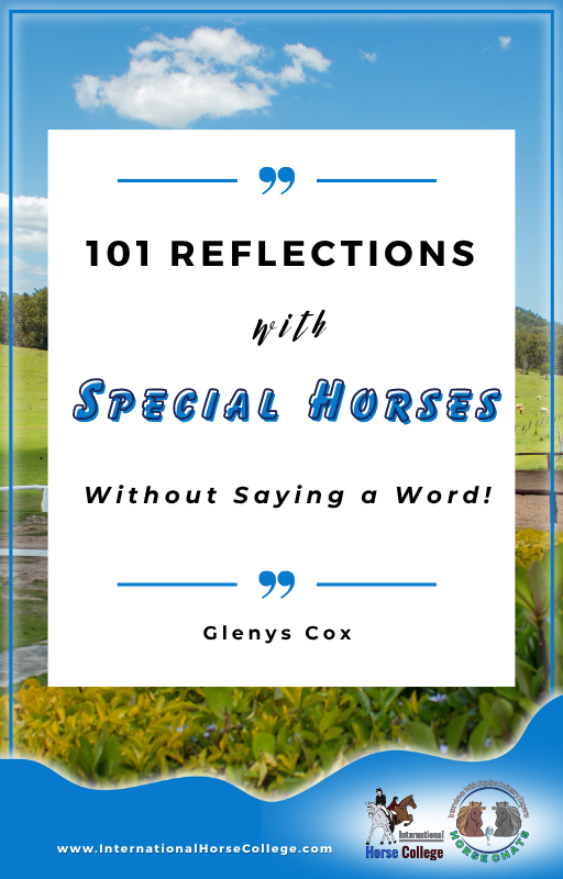 101 Reflections Special Horses Have Taught Me