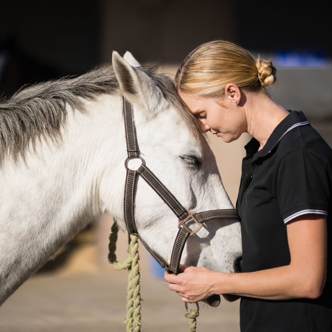 Passion First Why Most Horse Careers Begin with a Love for Horses