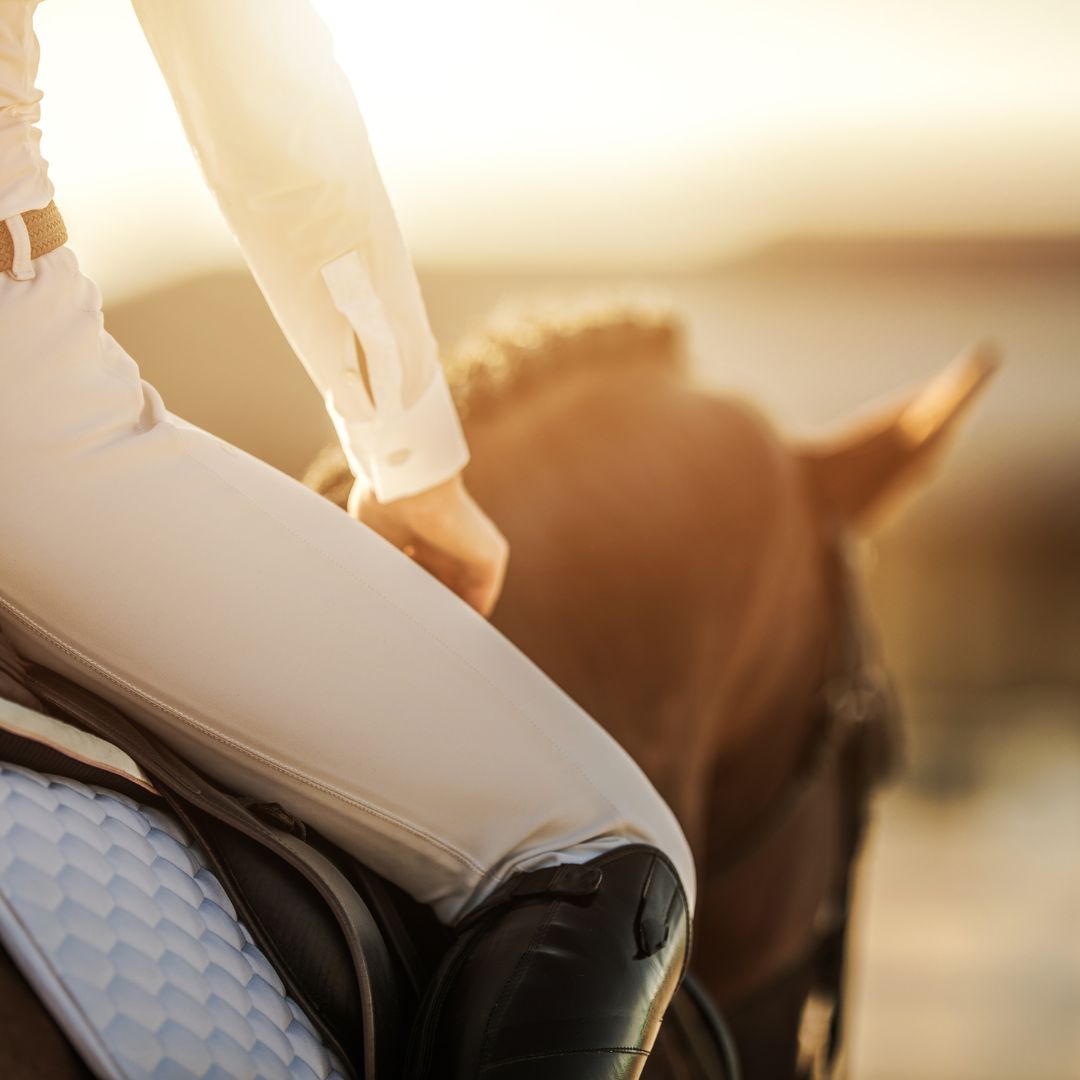 How to Use Natural Aids When Training Your Horse