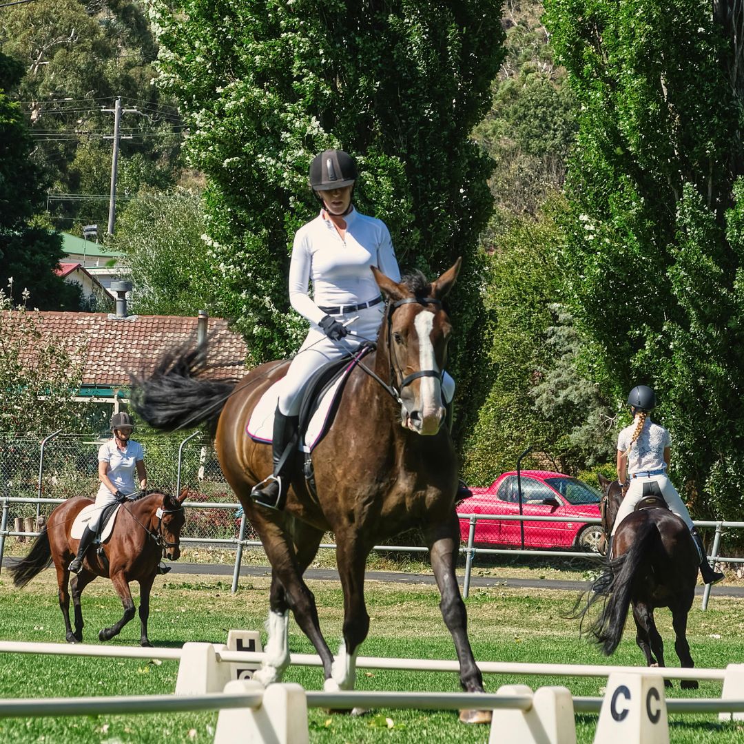 Regaining Confidence Around Horses A Simple A–B–C Guide