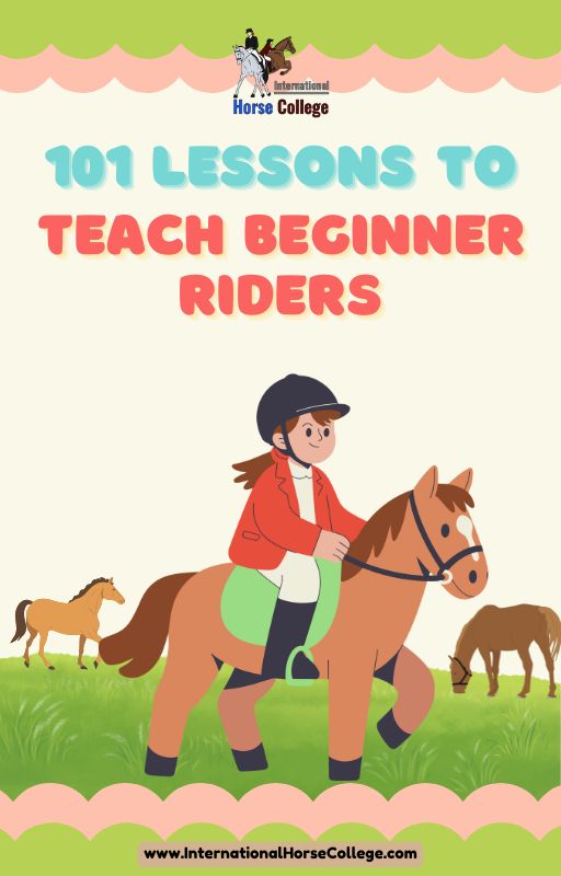 101 Lessons to Teach Beginner Riders Cover